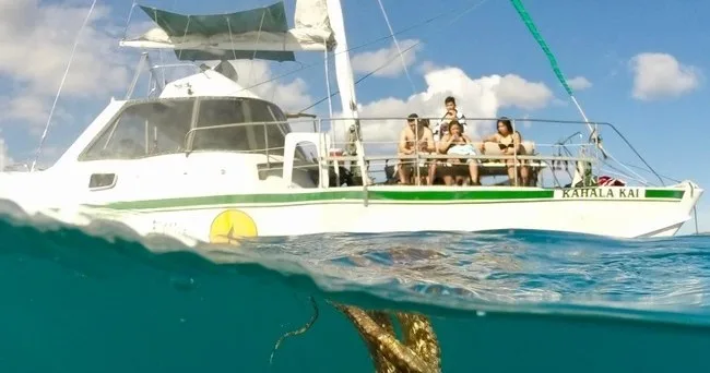 Catamaran sailing through Turtle Canyon with snorkelers aboard