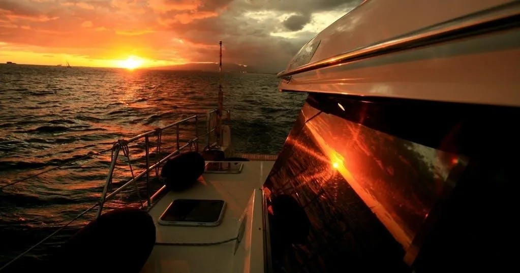 Watching whales during a sunset and moonlight cruise