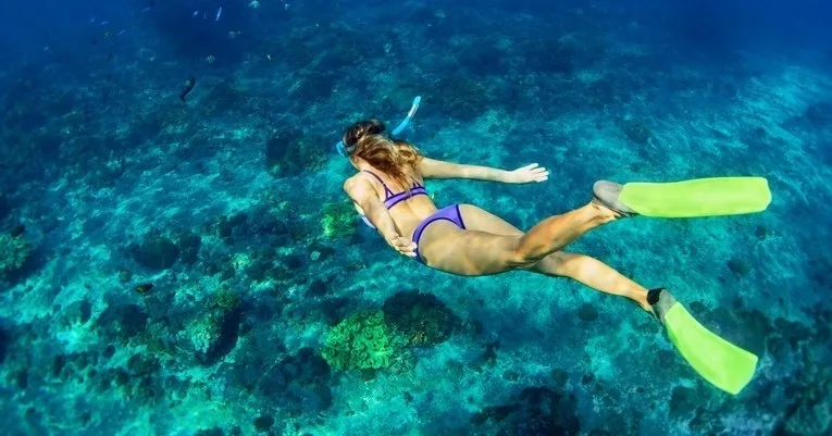 People snorkeling in clear tropical waters