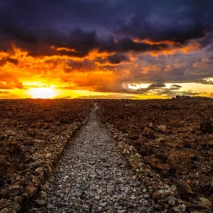 Scenic view of The King’s Highway on Maui island tour
