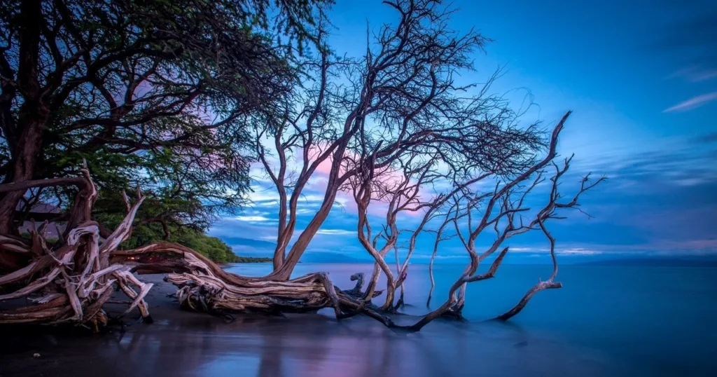 Small group sunset tour exploring Olowalu’s beauty