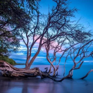 Small group sunset tour exploring Olowalu’s beauty