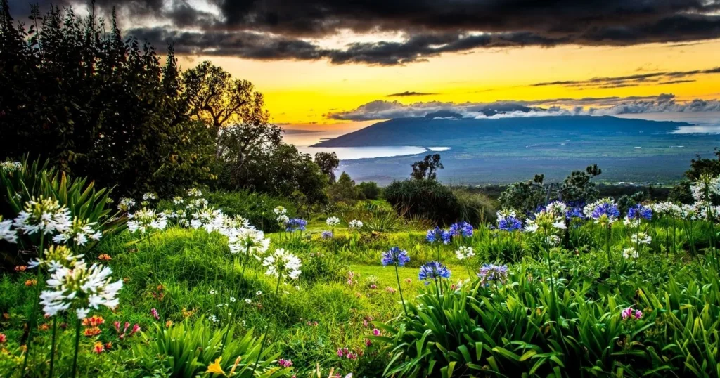 Sunset over Upcountry landscape with vibrant colors