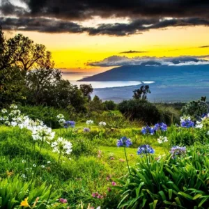 Sunset over Upcountry landscape with vibrant colors