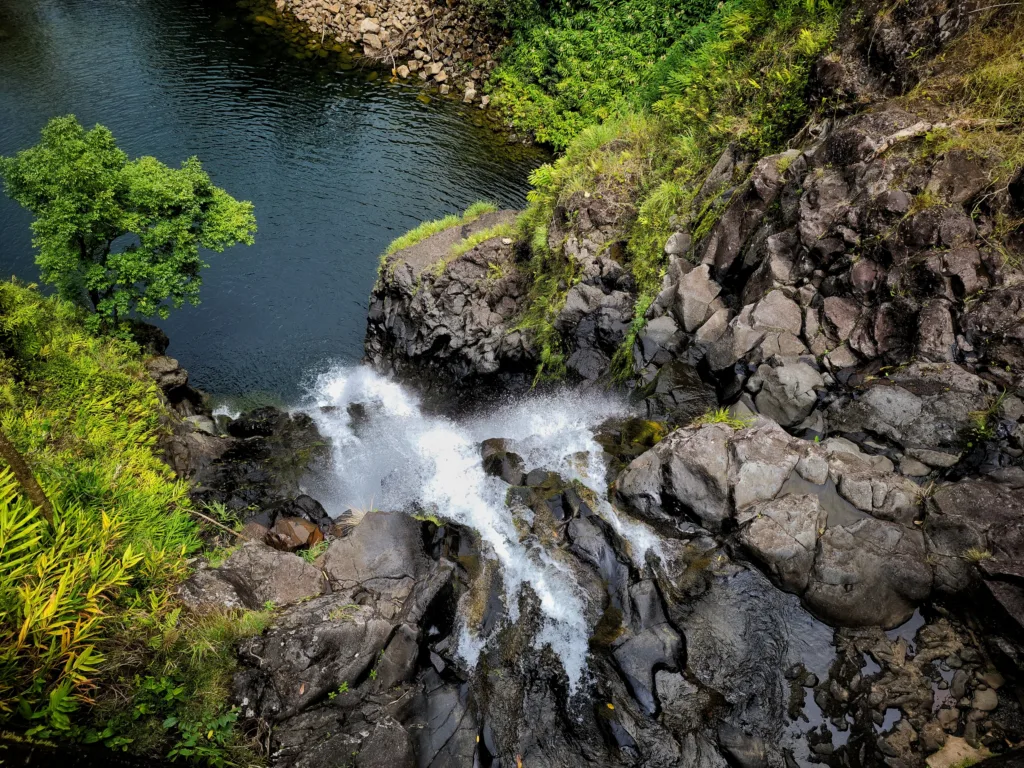 Small group exploring Hana on full day island tour