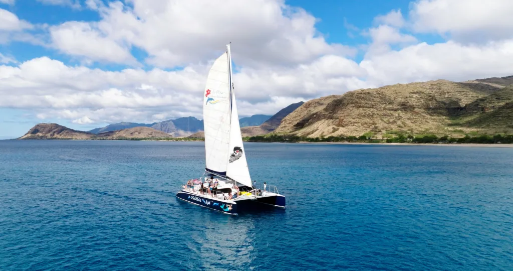Midday catamaran sail with snorkeling in crystal clear waters