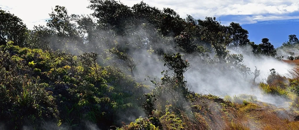 Volcanoes National Park tour departing from Maui island