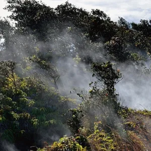 Volcanoes National Park tour departing from Maui island