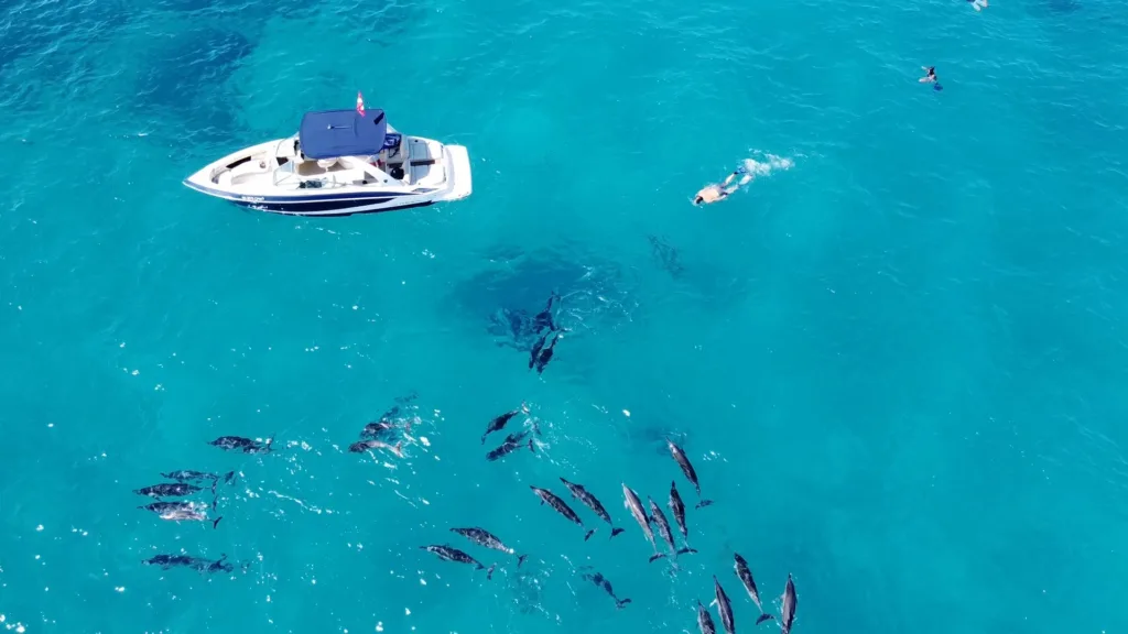 Private morning snorkeling trip near Kona coastline
