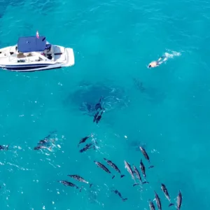 Private morning snorkeling trip near Kona coastline