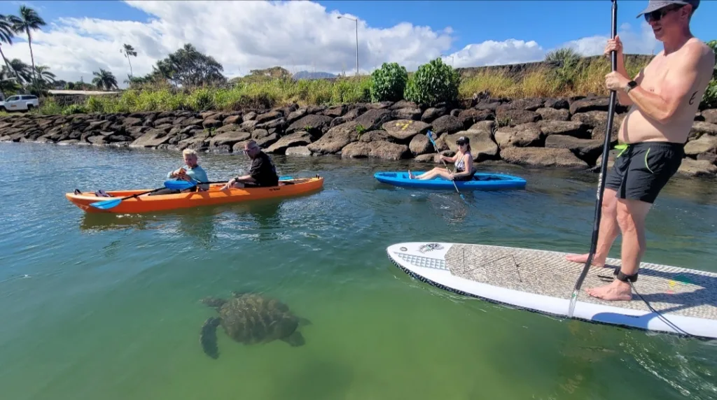 Paddlers enjoying Haleiwa River on ocean kayak tour