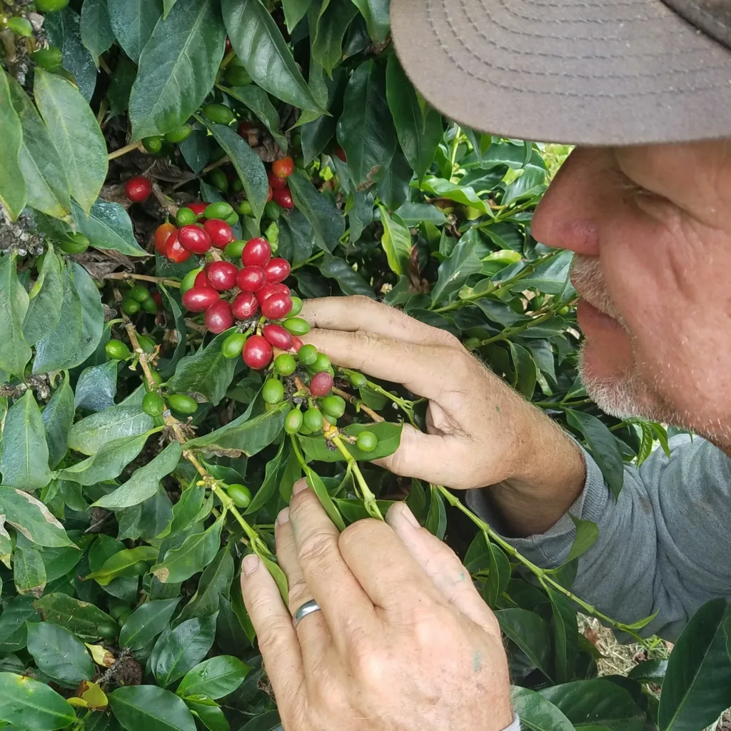 Guests tasting local wines at island vineyard tour