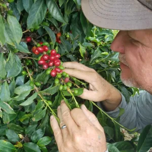 Guests tasting local wines at island vineyard tour