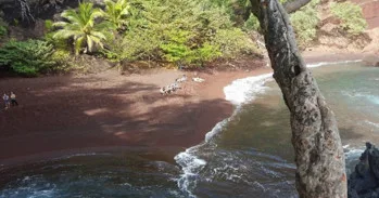 Half-day hiking tour through scenic Hana landscapes