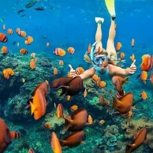 Snorkelers exploring vibrant coral reefs in clear ocean water