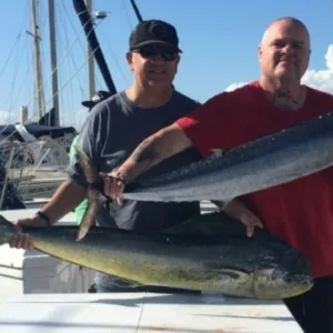 Half day shared boat charter exploring island coastline and waters