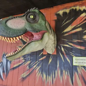 Scenic one-way transfer from Waikiki to Kualoa Ranch