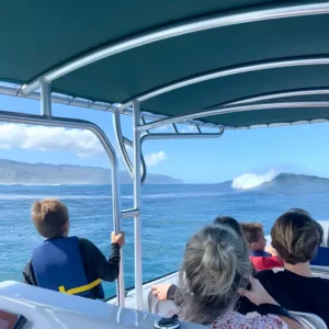 Tourists watching massive waves crash on North Shore