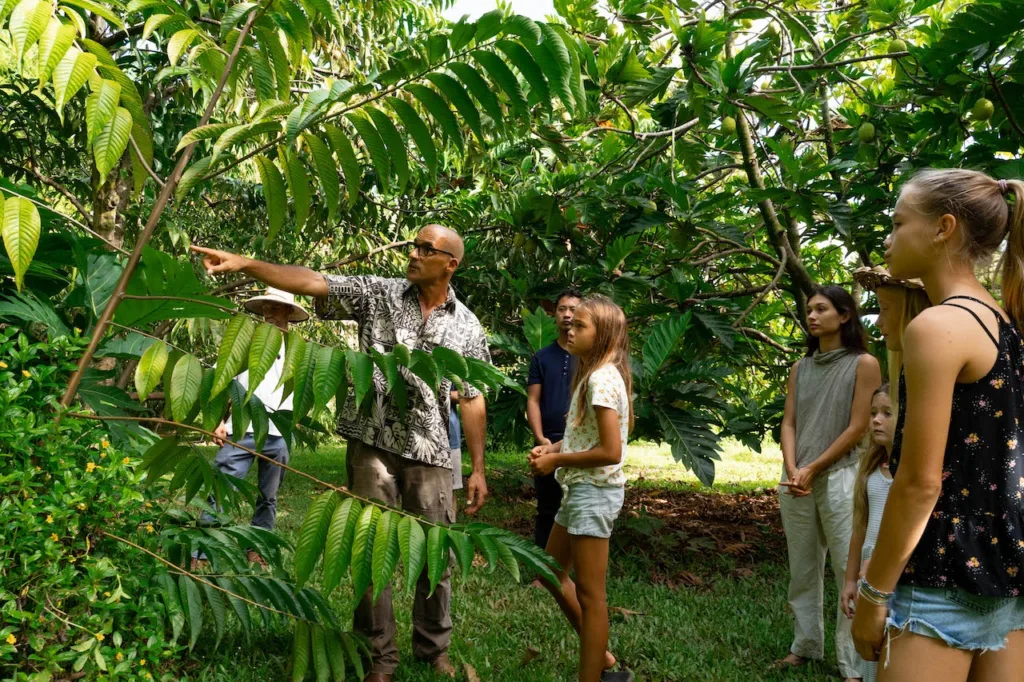 Hands-on farm and food experience at Common Ground Farm