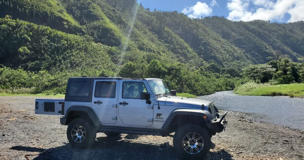 Hikers trekking through lush forest on Maui trail