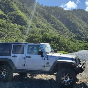 Hikers trekking through lush forest on Maui trail