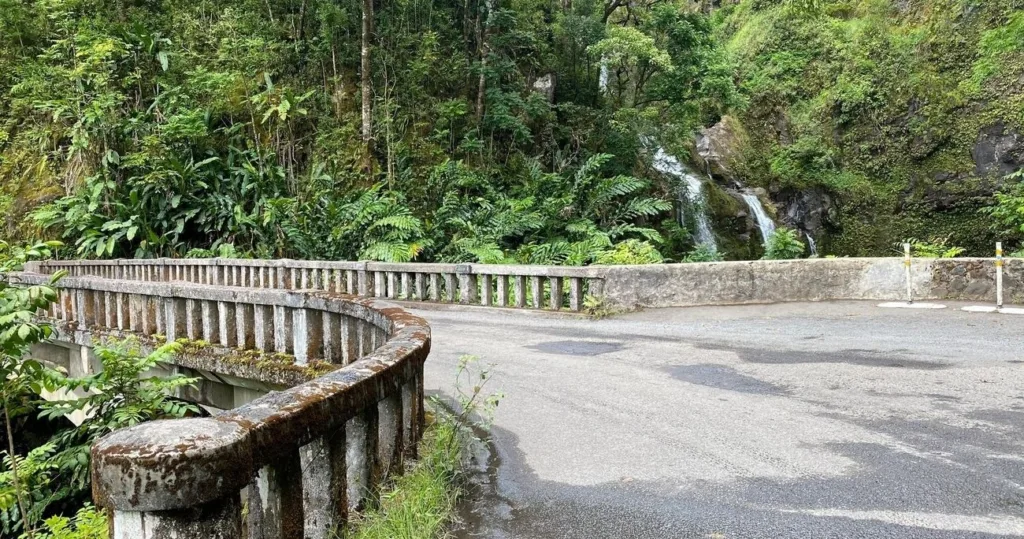 Winding Hana road surrounded by lush tropical rainforest