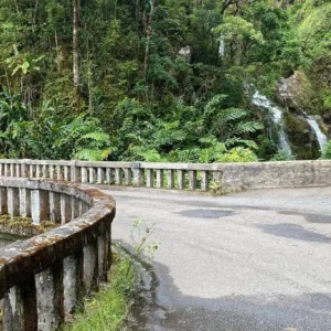 Winding Hana road surrounded by lush tropical rainforest