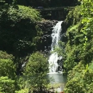 Scenic coastal views on Hana luxury expedition