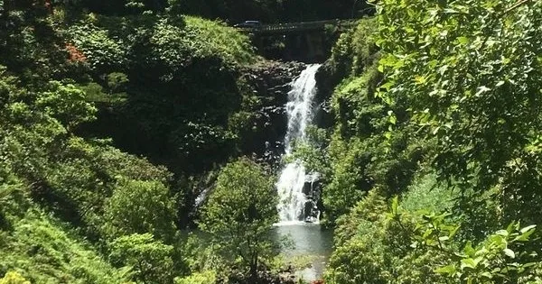 Scenic coastal views on Hana luxury expedition