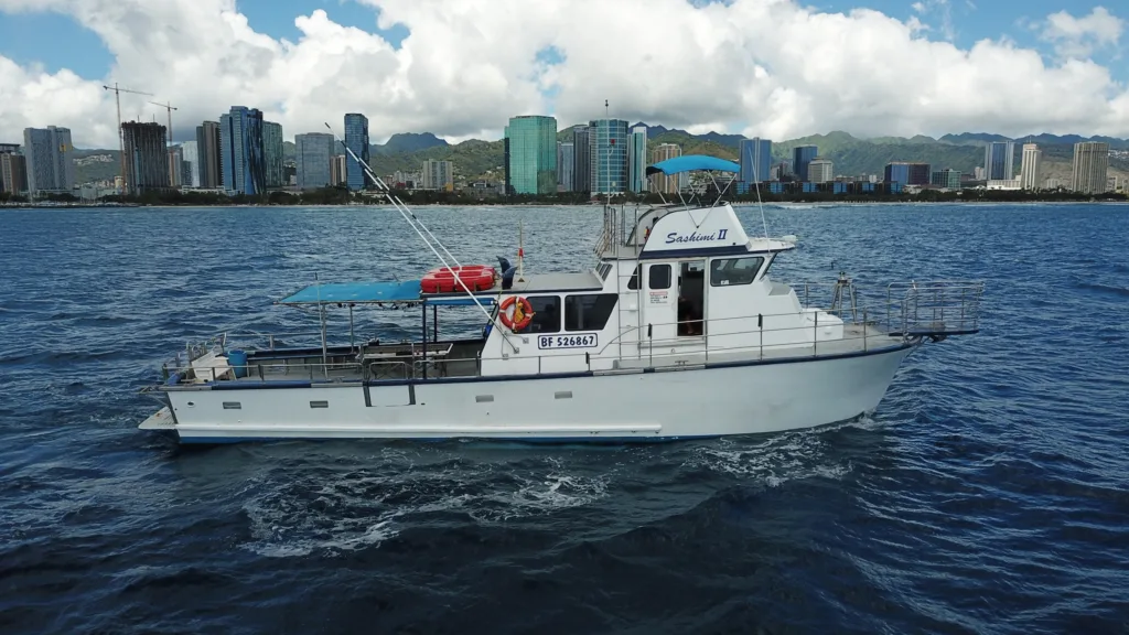 Anglers fishing privately on a calm island shoreline