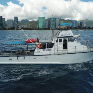 Anglers fishing privately on a calm island shoreline