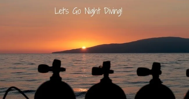 Scuba diver exploring coral reefs during a guided night dive