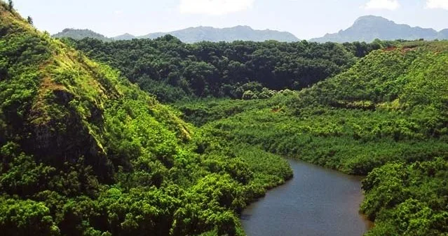 Kayak approaching Secret Falls on Wailua Delivery tour