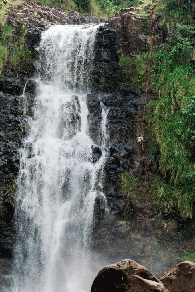 Adventurers rappelling down lush tropical waterfall cliffs