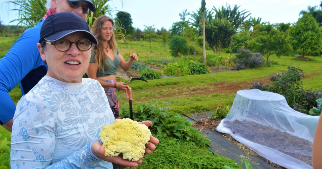 Hands-on farm to table cooking class with fresh produce