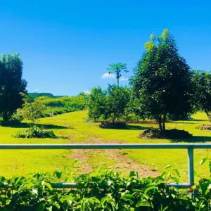 Guided tour exploring Kulaniapia farm’s tropical crops