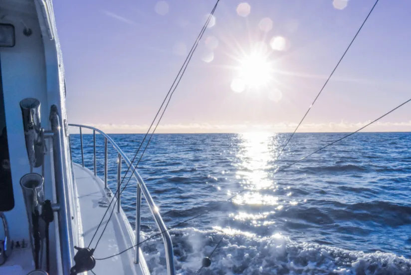 Private four hour island tour by Aloha Charter