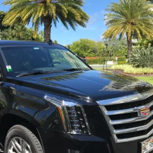 Private airport departure transfer with comfortable drop-off