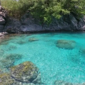 Instructor giving semi-private snorkeling lesson in ocean