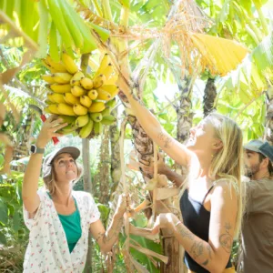 Exploring Maui farms with local produce tasting