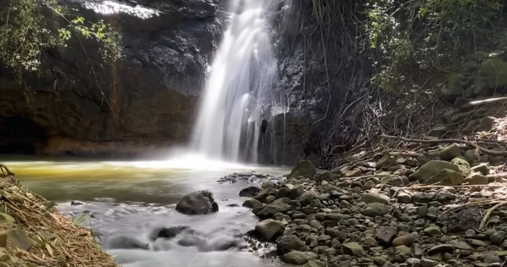 Hikers trekking along a lush waterfall trail surrounded by greenery