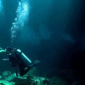 Divers exploring underwater during twilight hours