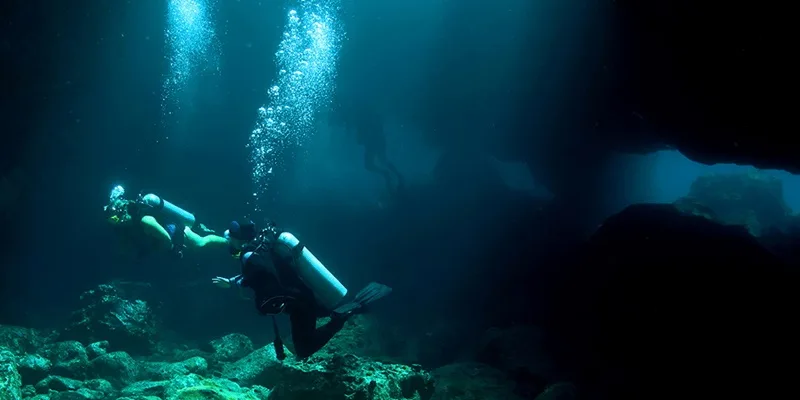 Divers exploring underwater during twilight hours