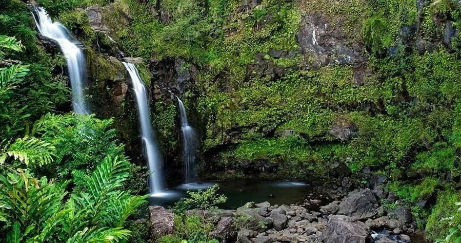 Waterfall and rainforest views on Road to Hana tour
