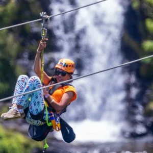 Zip line adventure through lush botanical gardens