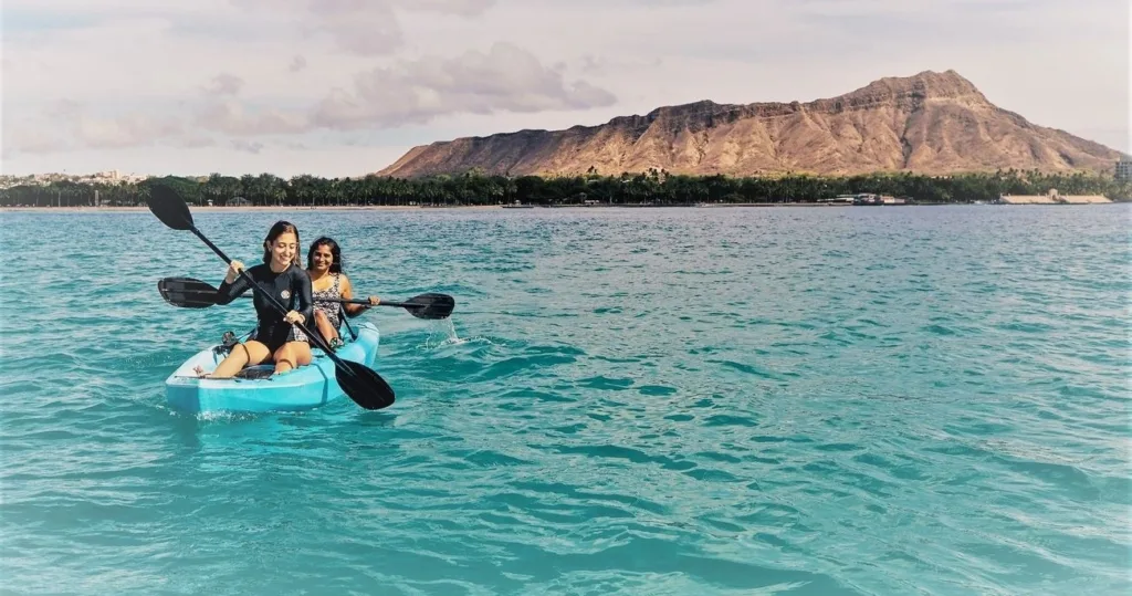 Tourists kayaking near sea turtles in clear blue water