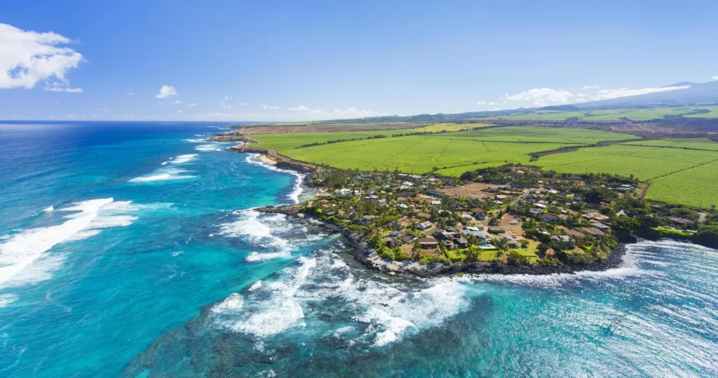 Hikers pausing midway on trail to Hana