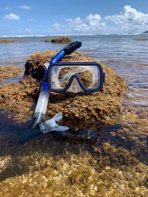 Adult dry snorkel and mask set ready for diving