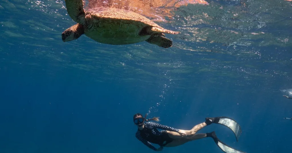Snorkeling adventure in Waikiki’s clear ocean waters