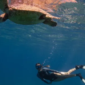 Snorkeling adventure in Waikiki’s clear ocean waters
